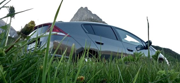 Honda Insight Grass