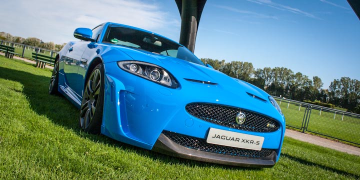 Jaguar Taste and Race